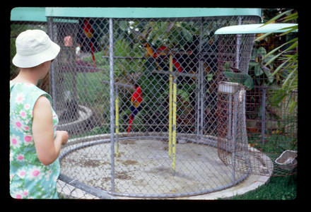 Slide557.jpg